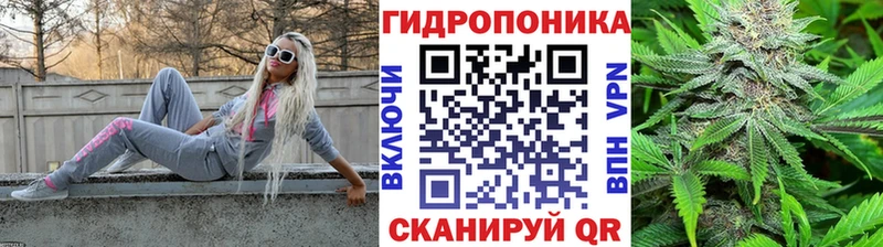 Купить закладку Муром Кокаин Меф ГАШ Псилоцибиновые грибы Конопля СОЛЬ