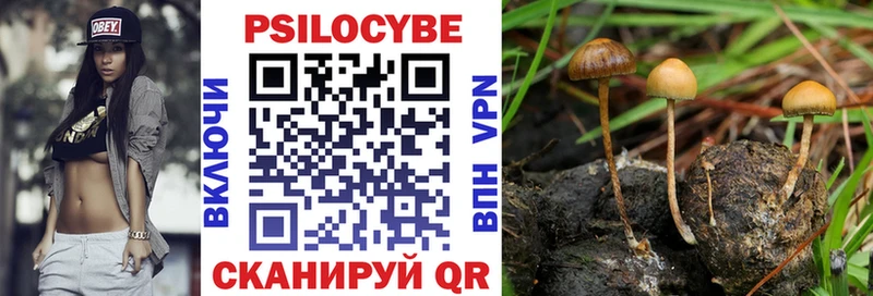 Галлюциногенные грибы Psilocybine cubensis  Муром 