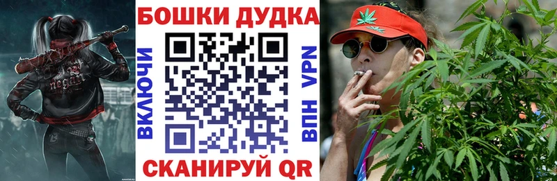KRAKEN Муром Канабис SATIVA & INDICA